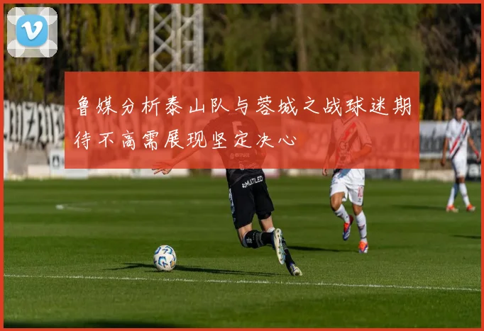鲁媒分析泰山队与蓉城之战球迷期待不高需展现坚定决心