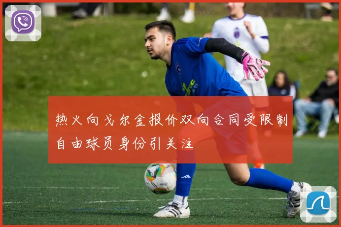 热火向戈尔金报价双向合同受限制自由球员身份引关注