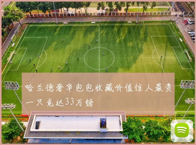哈兰德奢华包包收藏价值惊人最贵一只竟达33万镑
